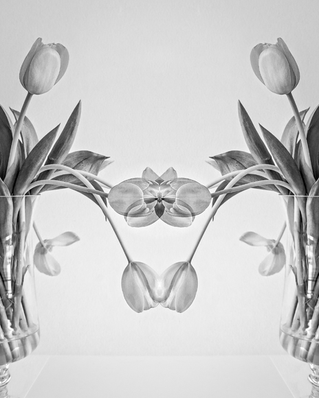 Serendipitous Union