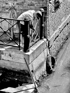 Fishing in Venice