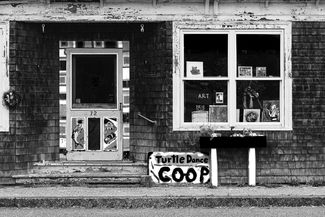 Turtle Dance Coop