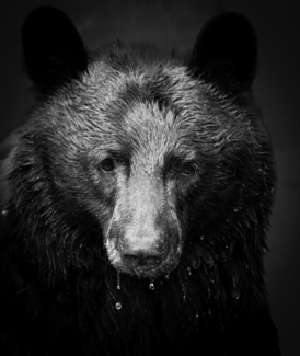 Intimidation
