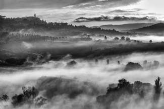 In the fog