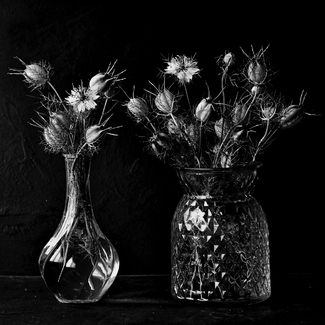 The Odd Vase