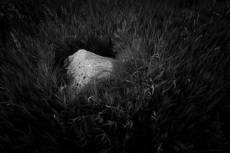 Upon This Rock
