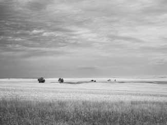 Life In The Big Empty