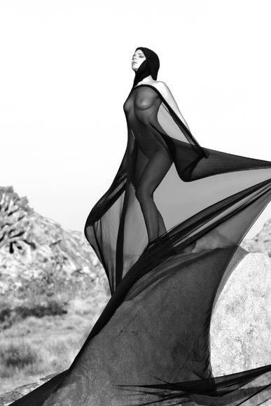 Black Butterfly