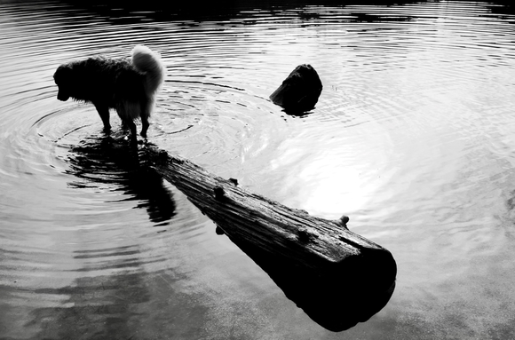A Delicate Balance