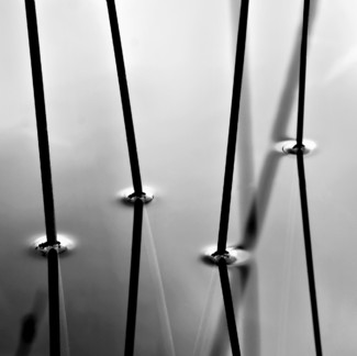 Four Reeds
