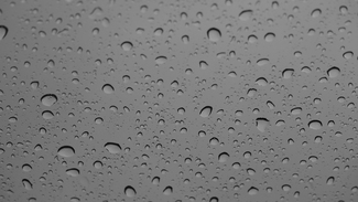 Raindrops