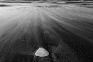 solitude