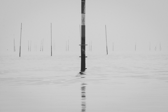 Floating towers