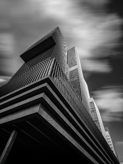 The Rotterdam