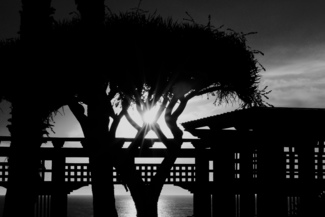 The Rising Sun