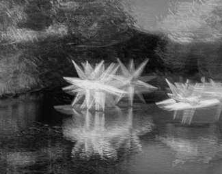 Starlit on Swan Lake