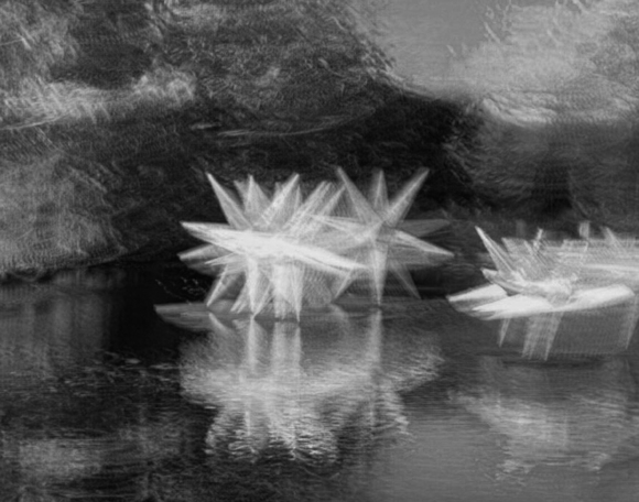 Starlit on Swan Lake