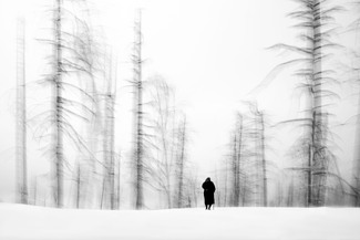 The Season of Winter