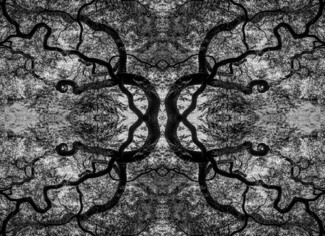 Fine Art 6