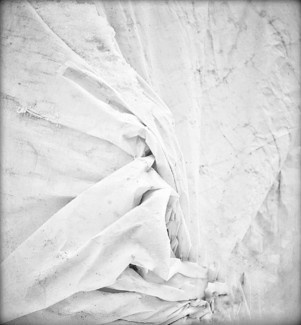 Tarp