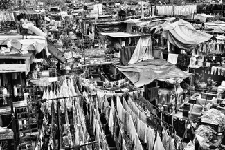 Laundry Day in Bombay 