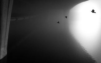 Flying Under the Bridge