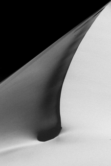 Shadow of the Desert