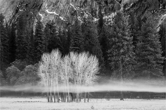 Ahwahnee Meadow Mist