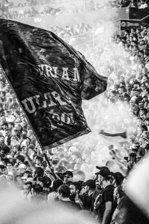 Rituals of the Stands