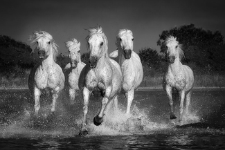 Ghost Riders