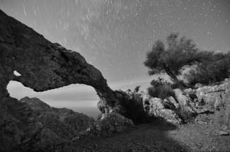 Under the Stars