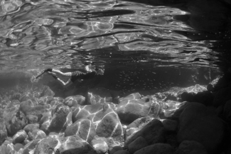 Diving