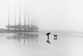 Man and Dog