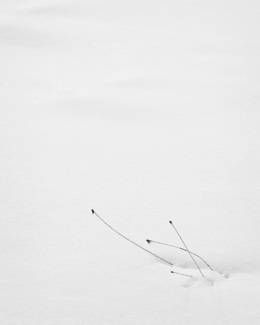 Reaching