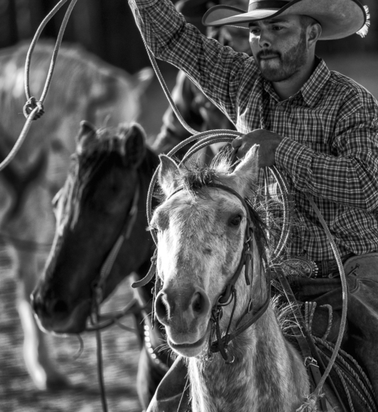 Santa Fe Calf Roper