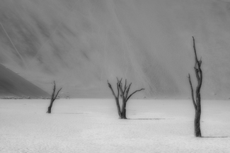 Thespians, frozen in time