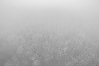 Uncertainty