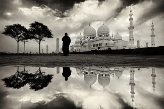 Mirroring Majesty