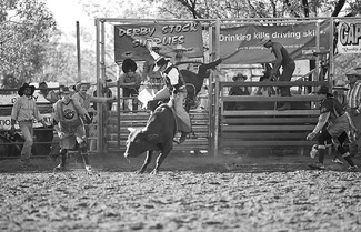 Foster Mary Jane Derby Rodeo