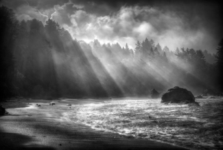 Sea Rays