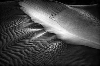 Dune Light