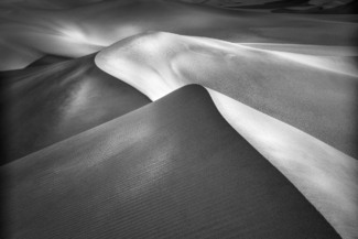 Dune View