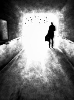 La Luce