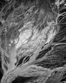Dry Lake 2