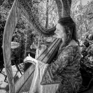 The Harpist