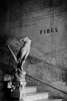 Fidel