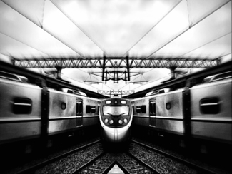 Fancy Train