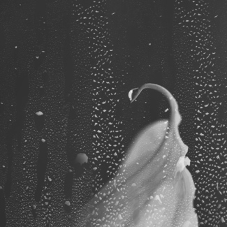 水墨葉