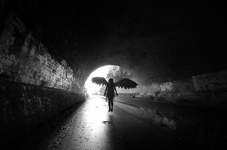Angel Series 2013 