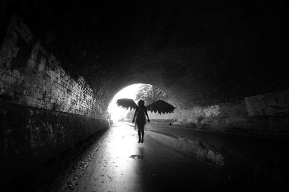 Angel Series 2013 