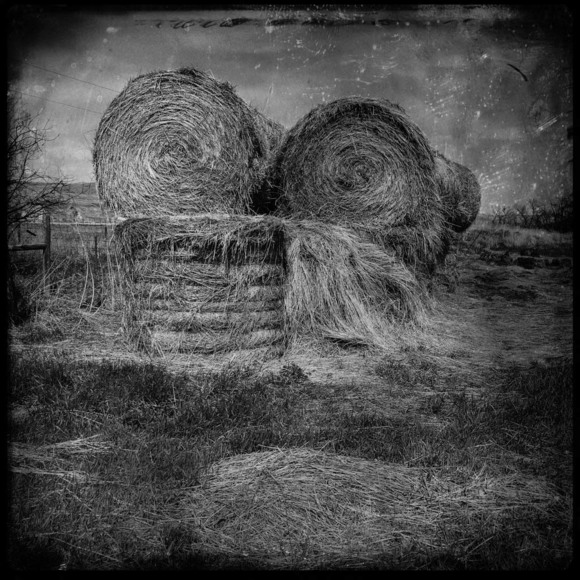 Hay Bales