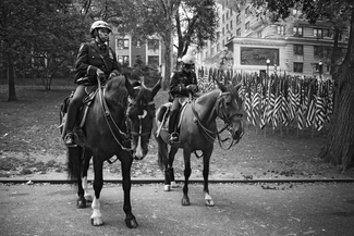 Firemen (Horses)