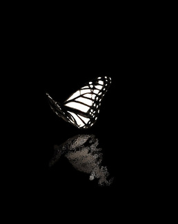 Wehler-Linda_Solo Flight